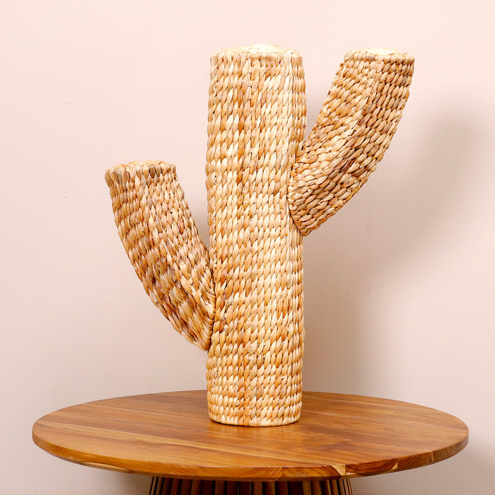 Old Lady Cactus Decor