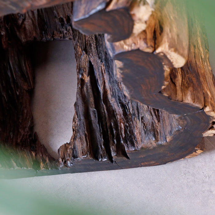 Alpha Root side table