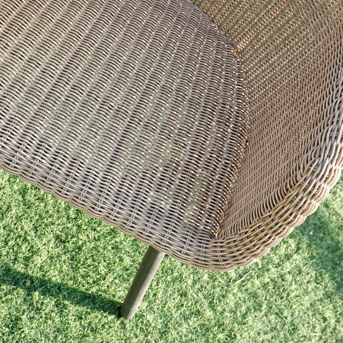 Darwin Chair