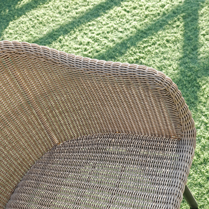 Darwin Chair