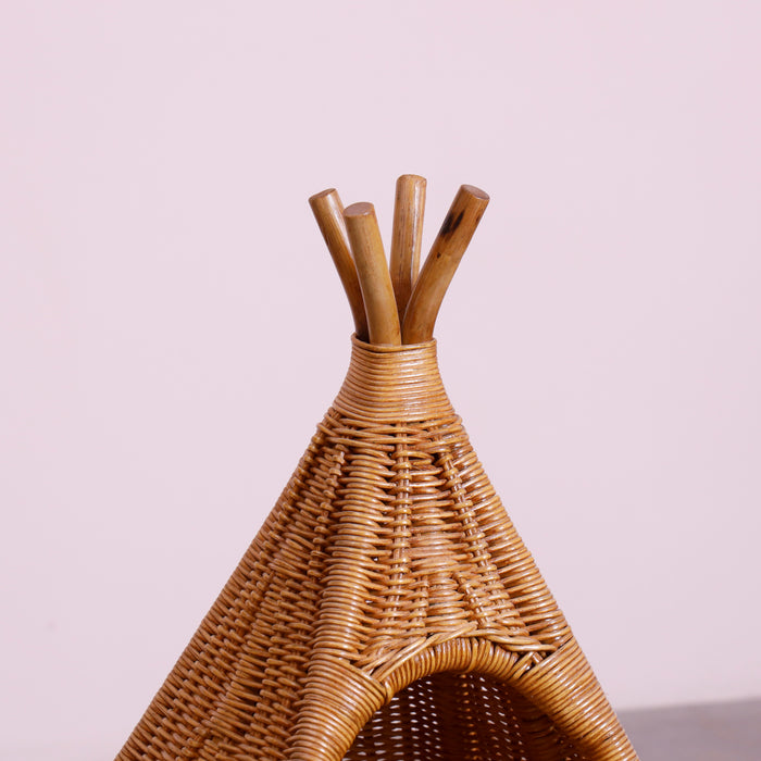 Sasha Triangle House