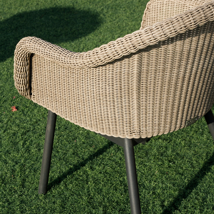Darwin Chair