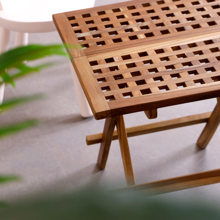 Togo Folding picnic table