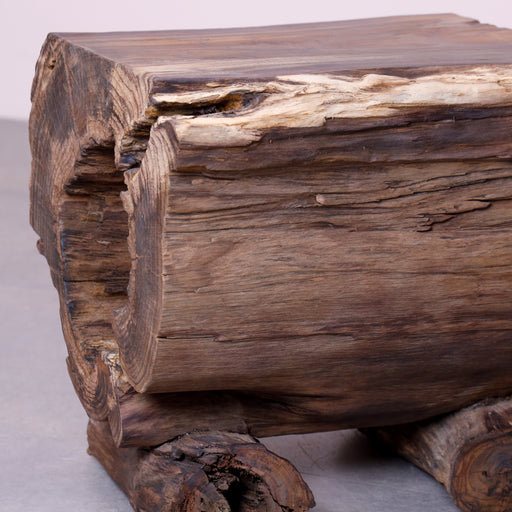 Experience the rustic allure of our rosewood stool, designed to resemble a natural log as seating. Crafted with care, it combines the durability of teak wood with a touch of organic beauty, making it a unique addition to any space.Material - Rosewood
Note: As each stool is a natural log, it is unique, and no two stools will match each other.
overall dimensions:
L40 W27 H40