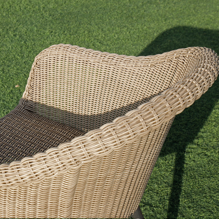 Darwin Chair
