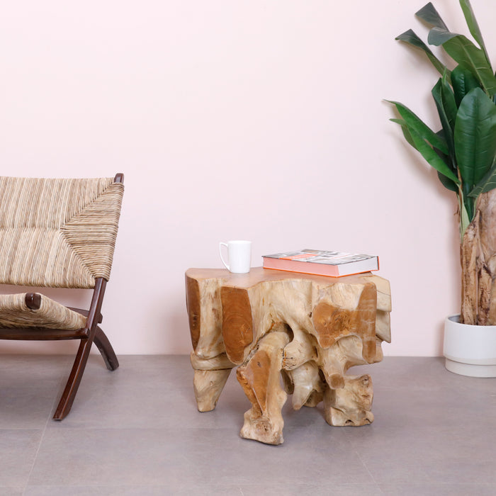 Alpha Root Coffee Table - Natural and Rosewood