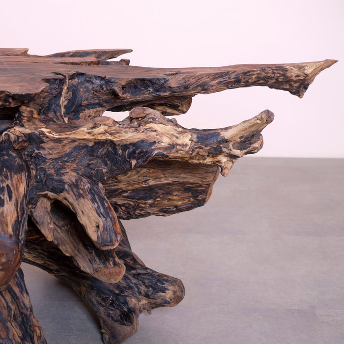 Alpha Root Coffee Table - Natural and Rosewood