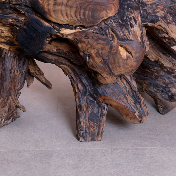 Alpha Root Coffee Table - Natural and Rosewood