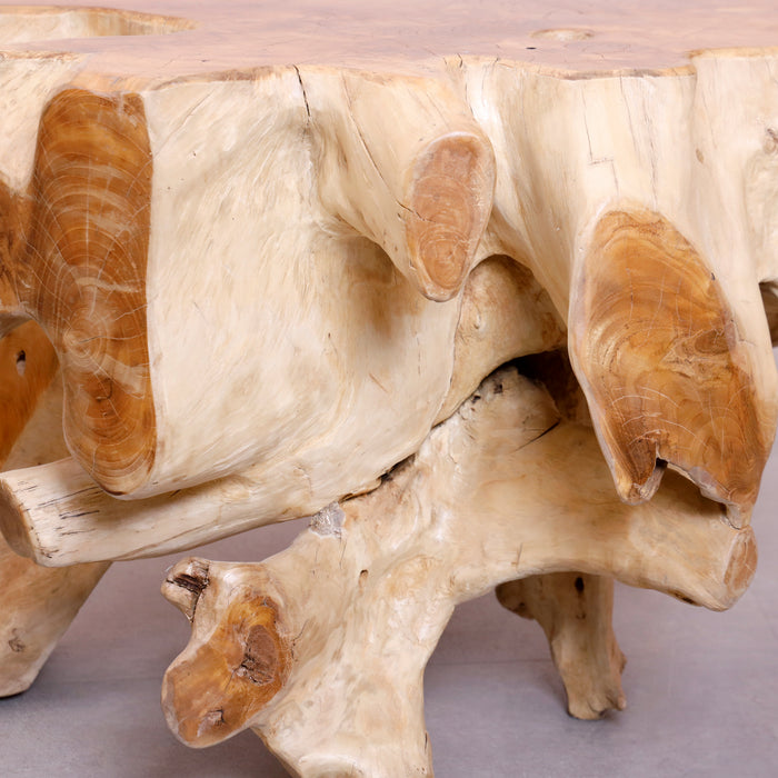 Alpha Root Coffee Table - Natural and Rosewood