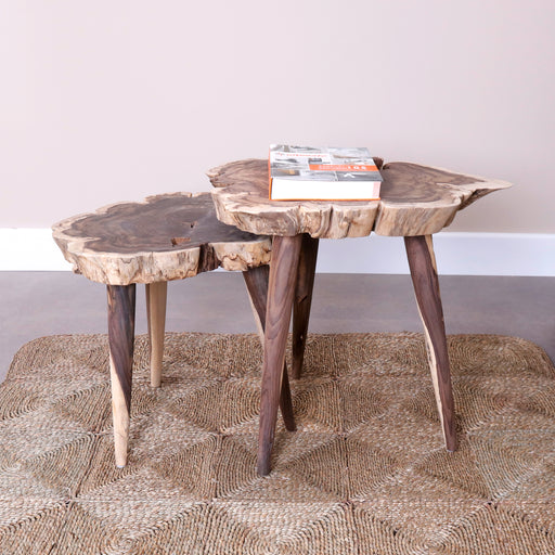 Discover the extraordinary beauty of our Solid Wood Root Nesting Tables—a testament to nature's artistry and craftsmanship. Each table is crafted from high-quality solid wood, capturing the essence of organic elegance with its roots-inspired design. Embrace the allure of the outdoors as you bring a touch of nature into your home with these nesting tables.Dimensions - Diameter: 70cmHeight: 65cm
Note : The price is valid for a set of two