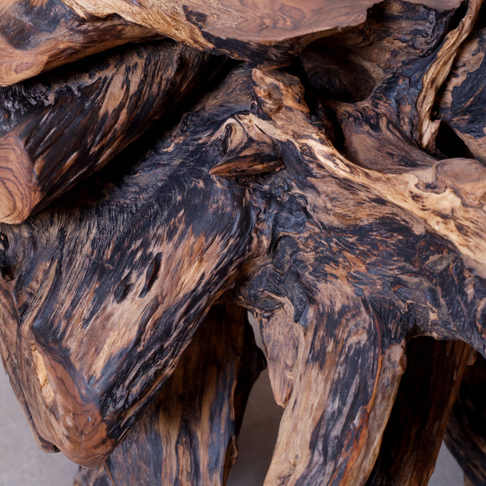 Alpha Root Coffee Table - Natural and Rosewood