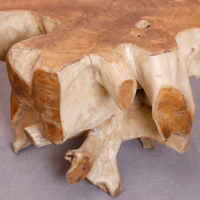 Alpha Root Coffee Table - Natural and Rosewood