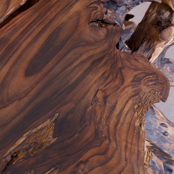 Alpha Root Coffee Table - Natural and Rosewood