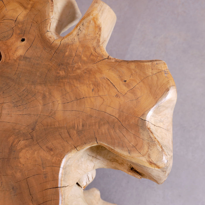 Alpha Root Coffee Table - Natural and Rosewood