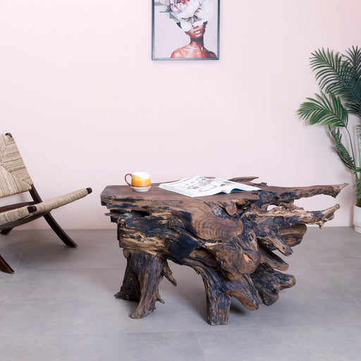 Alpha Root Coffee Table - Natural and Rosewood
