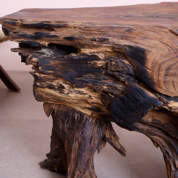 Alpha Root Coffee Table - Natural and Rosewood