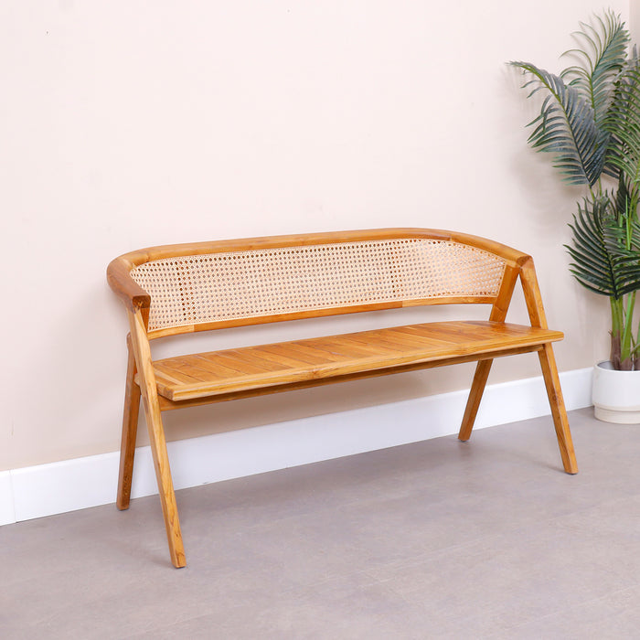 Ariana Bench-01
