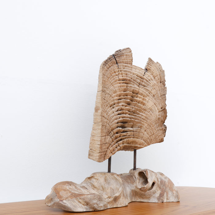 Elm Decor -01