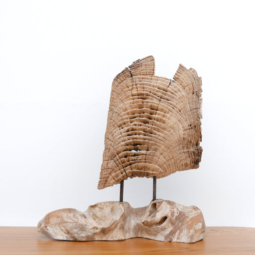 Elm Wooden Sculpture on Stand
Bring a touch of gallery-inspired design into your home with the Elm Wooden Sculpture on Stand. A beautiful celebration of natural materials meeting modern geometry, this abstract piece features a "modern twist" that softens sleek, contemporary lines with the organic warmth of authentic timber.
Hand-finished to preserve the unique natural swirls and knots inherent to Elm wood, this sculpture looks different from every angle. It invites viewers to stop and appreciate its craftsmanship, making it the perfect sophisticated focal point to spark conversation in any room.
Why You'll Love It


Exquisite Elm Craftsmanship: Hand-carved from premium, high-quality solid Elm wood, ensuring a sturdy piece that feels premium to the touch and heavy in the hand.


Gallery-Style Presentation: Comes mounted on a sleek, integrated matching base, perfectly balanced and ready to instantly elevate your entryway, living room, or home office.


Versatile Minimalist Aesthetic: The neutral tones and contemporary silhouette blend seamlessly with a variety of interior styles, including Mid-Century Modern, Industrial, Scandi-chic, and Rustic Farmhouse.


Generous Statement Size: Standing at an impressive 55 cm tall, it is substantial enough to anchor a mantel or console table, yet refined enough to sit elegantly on an executive desk or bookshelf.


Product Specifications



Attribute
Details




Material
100% High-Quality Natural Solid Elm Wood


Dimensions
45 cm (Length) × 55 cm (Height)


Base
Integrated wooden display stand


Style
Modern / Contemporary / Minimalist


