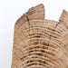 Elm Decor -04