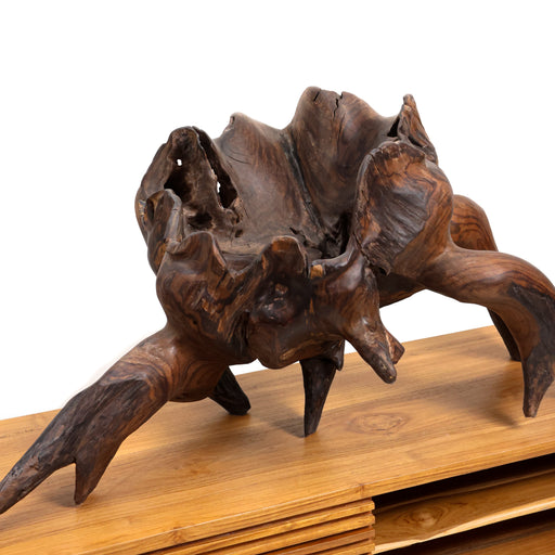 Nature’s Masterpiece. One-of-a-Kind. The Elora Sculpture is a striking statement of organic beauty. Reclaimed from the earth, this authentic solid wood piece has been hand-cleaned and polished to preserve its wild, untamed character. With its deep hollows, intricate textures, and rich dark tones, it serves as a powerful focal point for any luxury interior.


Naturally Unique: No two pieces are identical; you are owning a singular piece of nature’s history.

Hand-Finished: Carefully treated to highlight the dramatic contrast between the smooth wood and the raw, rugged edges.

Sustainable Art: Crafted from reclaimed timber, giving new life to forgotten natural forms.

Versatile Decor: The perfect center-piece for a console table, mantel, or executive desk.

Specifications:


Length: 95cm

Height: 45cm

Material: 100% Authentic Reclaimed Solid Wood
