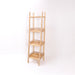 Orba Shelf-01