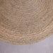 argo rug -02