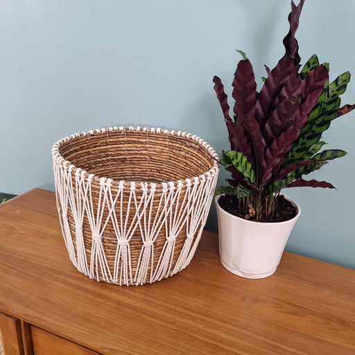 
Add an instant touch of style to your living room with this gorgeous braided basket.Dimension : L36cm x D33cm x H25cm